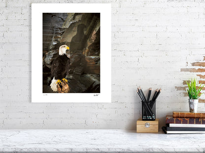 A Bald Eagle is perched against a rocky cliff face by photographer Tim Platt available online from Tim Platt Fine Art Photography Prints