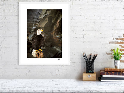 A Bald Eagle is perched against a rocky cliff face by photographer Tim Platt available online from Tim Platt Fine Art Photography Prints