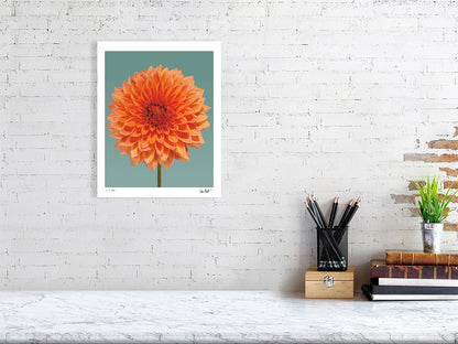 Orange dahlia by Tim Platt Fine Art Photography