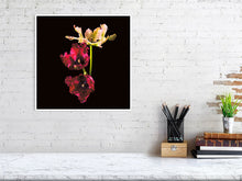 Load image into Gallery viewer, Parrot tulips
