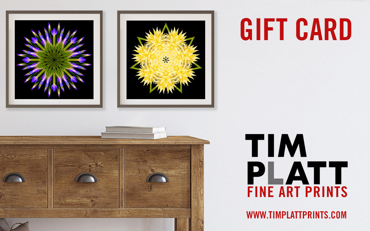Tim Platt Fine Art gift card