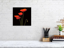 Load image into Gallery viewer, Wild poppies
