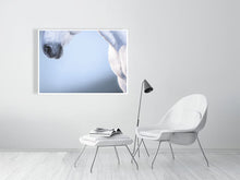 Load image into Gallery viewer, Lusitano #3
