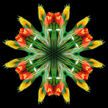 Load image into Gallery viewer, Tulips #1
